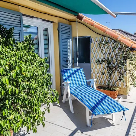 Seagulls, Elegance And Freedom ラヴァーニャ