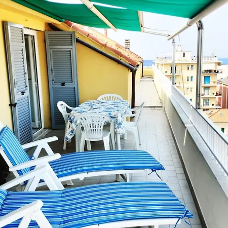 Seagulls, Elegance And Freedom