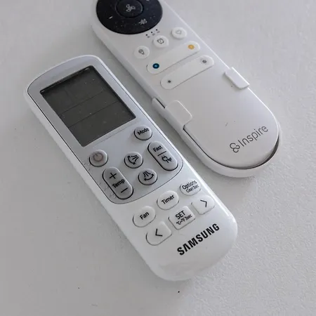 Seagulls, Elegance And Freedom * ラヴァーニャ