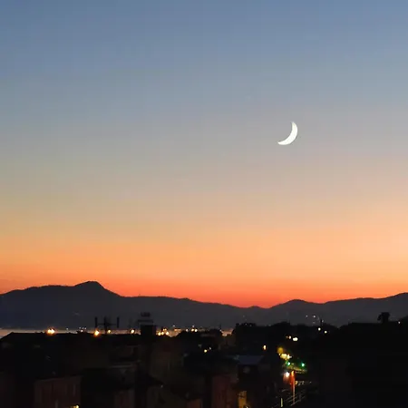 Seagulls, Elegance And Freedom *