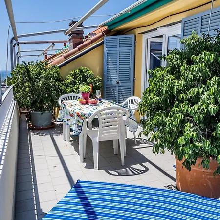 Seagulls, Elegance And Freedom Лаванья