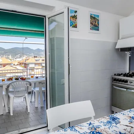 Seagulls, Elegance And Freedom