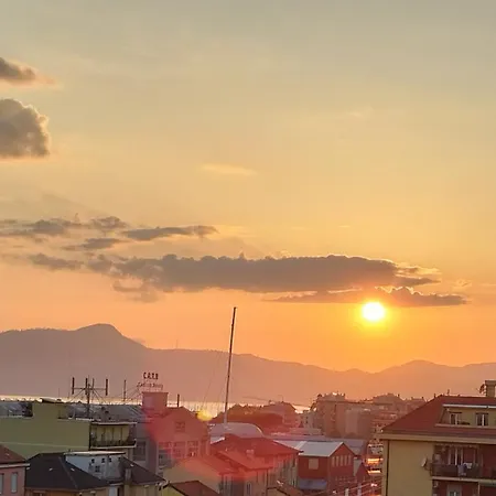Seagulls, Elegance And Freedom Lavagna