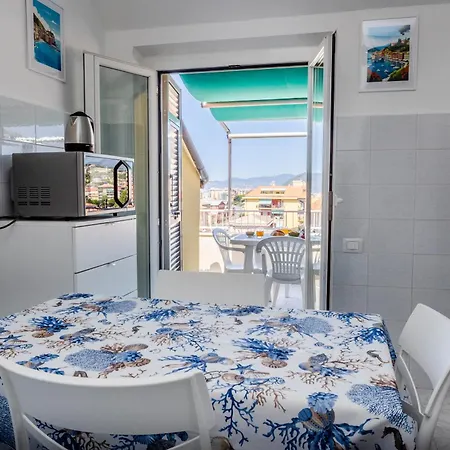 Seagulls, Elegance And Freedom