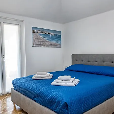 Seagulls, Elegance And Freedom