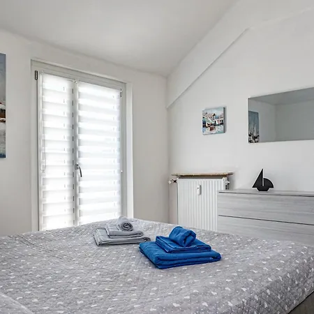 Seagulls, Elegance And Freedom