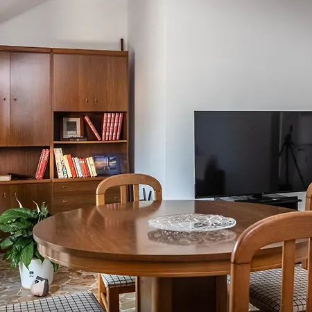 Seagulls, Elegance And Freedom * Лаванья