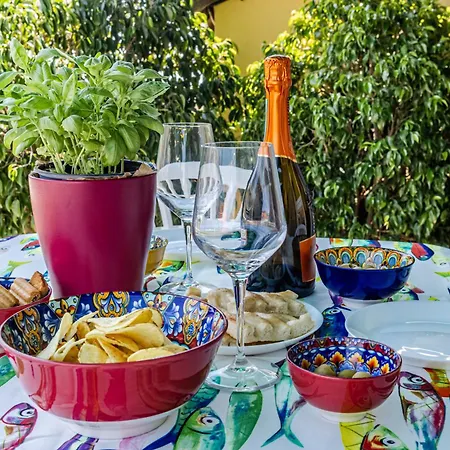 Seagulls, Elegance And Freedom