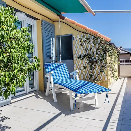 Seagulls, Elegance And Freedom * Лаванья