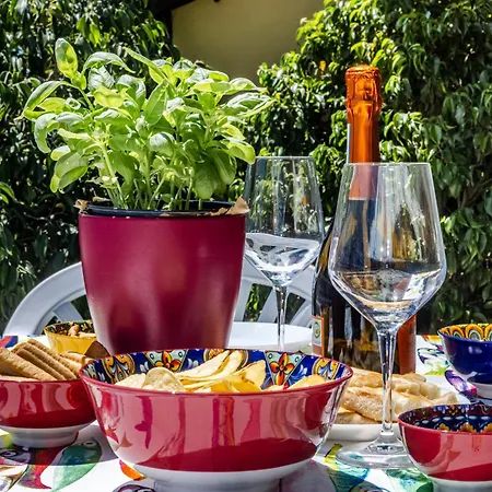 Seagulls, Elegance And Freedom