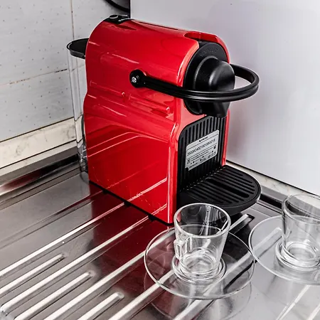 Seagulls, Elegance And Freedom