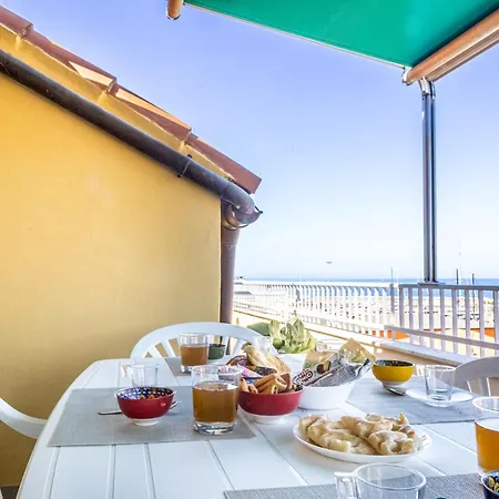 Seagulls, Elegance And Freedom Лаванья