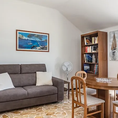 Seagulls, Elegance And Freedom Lavagna