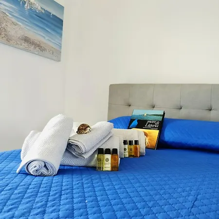 Seagulls, Elegance And Freedom