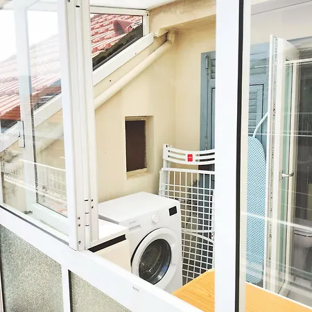 Seagulls, Elegance And Freedom Lavagna